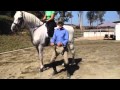 Dressage Secrets: Outside Leg