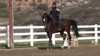 Correcting the Overflexion In the Horse’s Neck