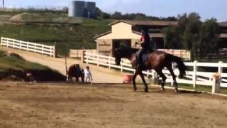 Correcting Overflexion: Update 1
