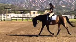 Laura Sakakeeny: Student update 2
