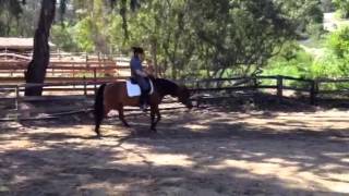 Dave Murphy: Student Update 4
